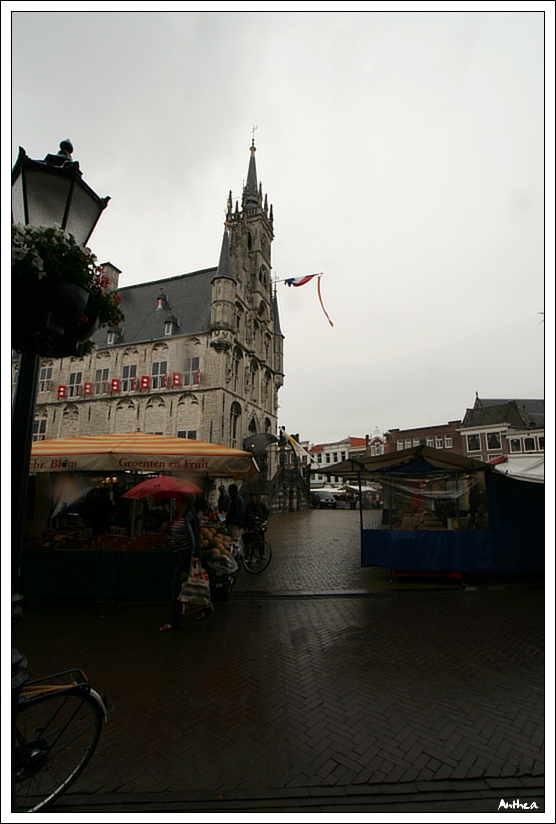 holandsko_ gouda  15.jpg