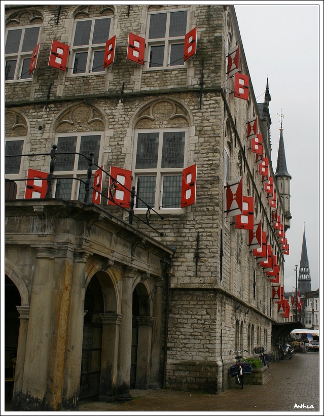 holandsko_ gouda  19.jpg