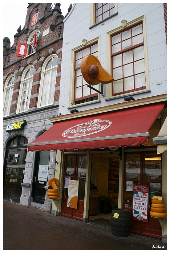 holandsko_ gouda  120.jpg