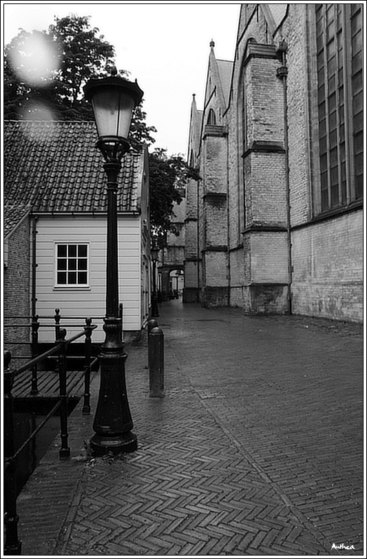holandsko_ gouda 06.jpg