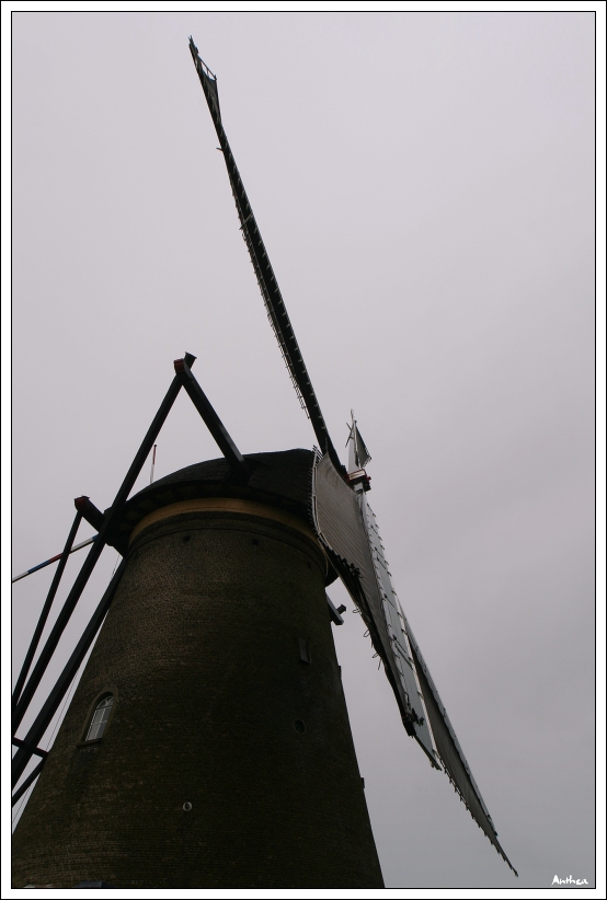 holandsko - mlýny 05.jpg