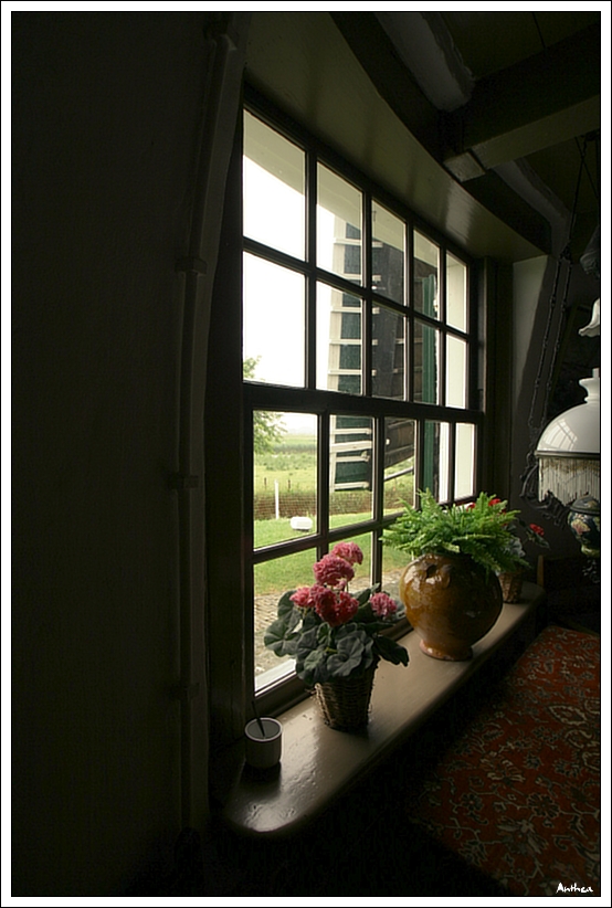 holandsko - mlýny 07.jpg