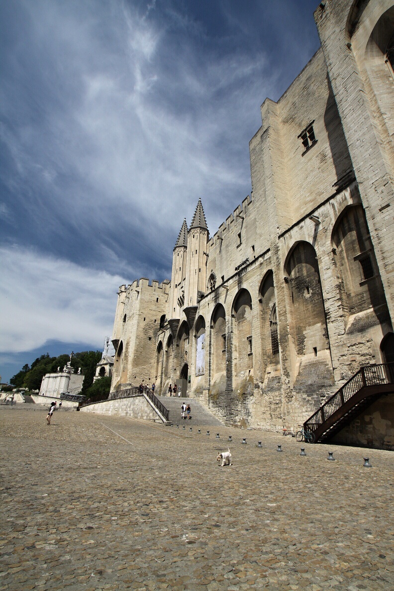 avignon 11