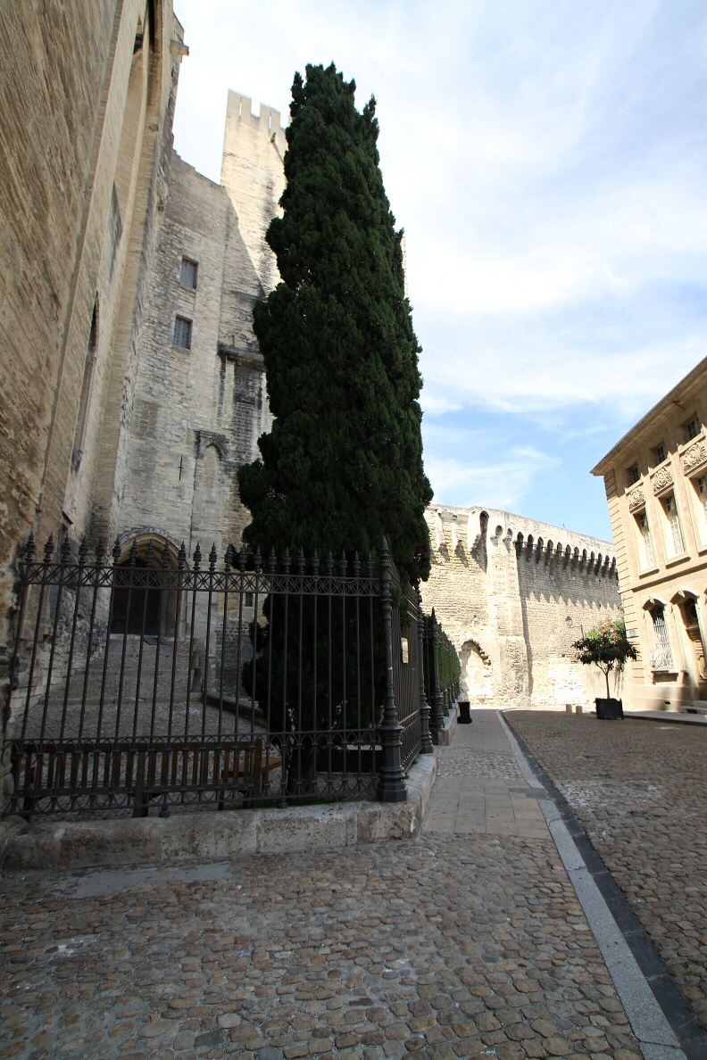 avignon 07