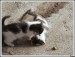 PICT0037G.jpg